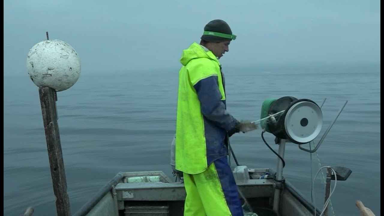 Netzwerk - auf Fischfang mit Reto Leuch