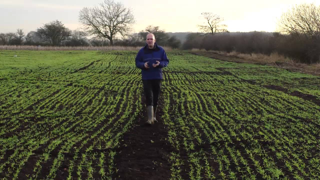 Soil Training