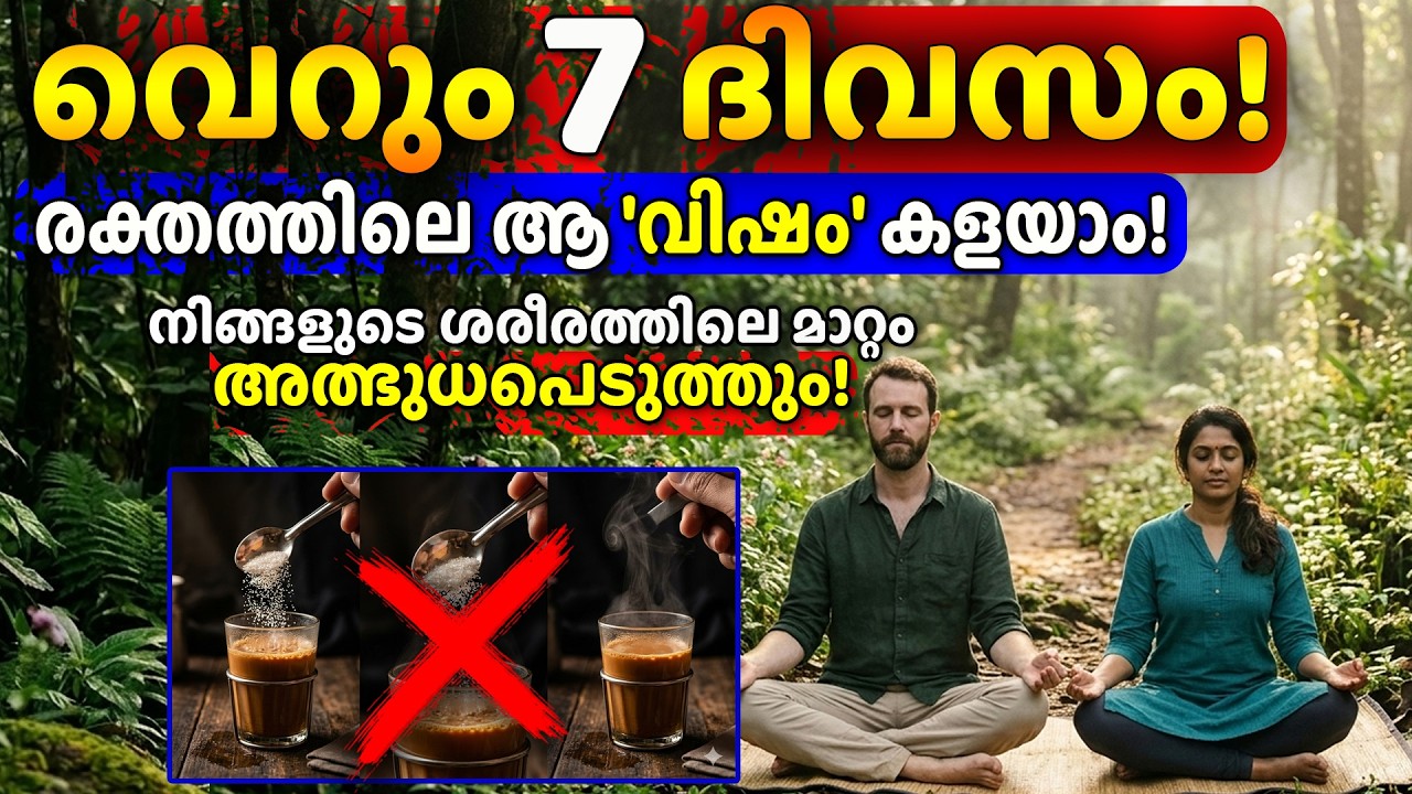 മരുന്നില്ലാതെ ശരീരം ശുദ്ധിയാക്കാം; ഈ ഒരൊറ്റ കാര്യം മതി!🌿 AYURVEDIC NATURAL HEALTH TIPS MALAYALAM