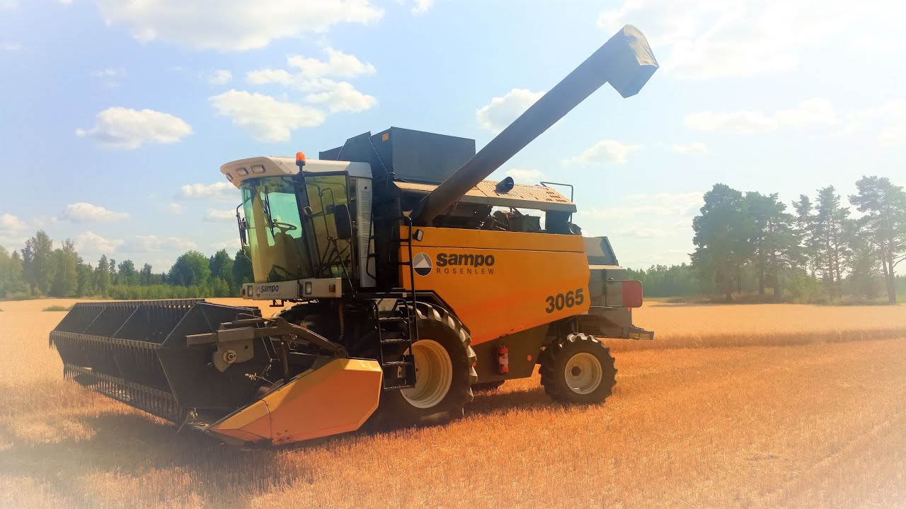 Sampo-Rosenlew 3065 kaurojen kimpussa.