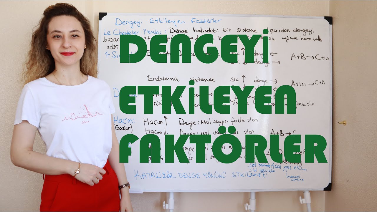 27- DENGEYİ ETKİLEYEN FAKTÖRLER 2022