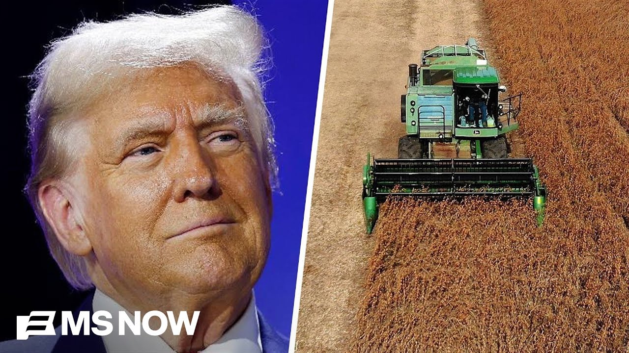 Trump admin is 'out of touch' with American farmers: Soybean farmer