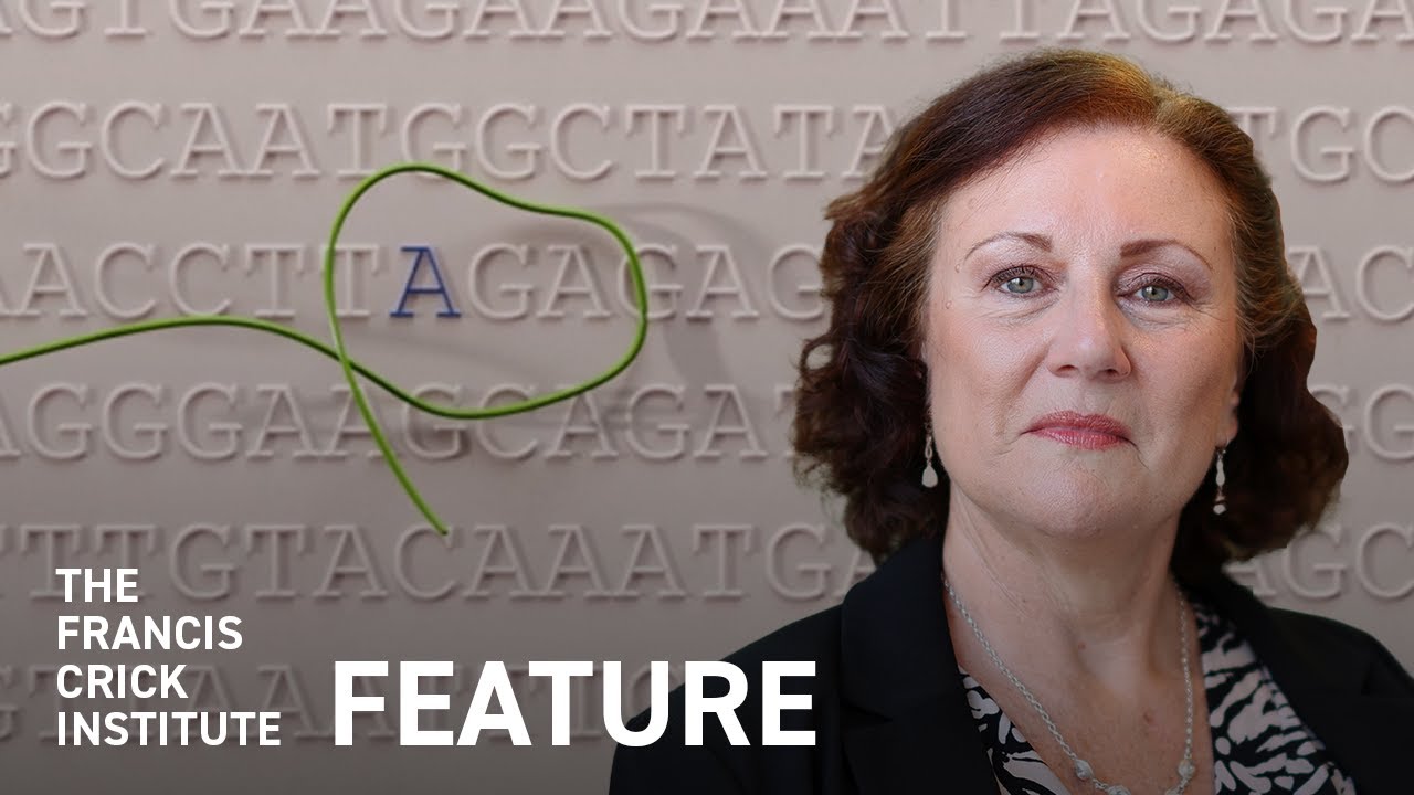 How Science Freed Kathleen Folbigg