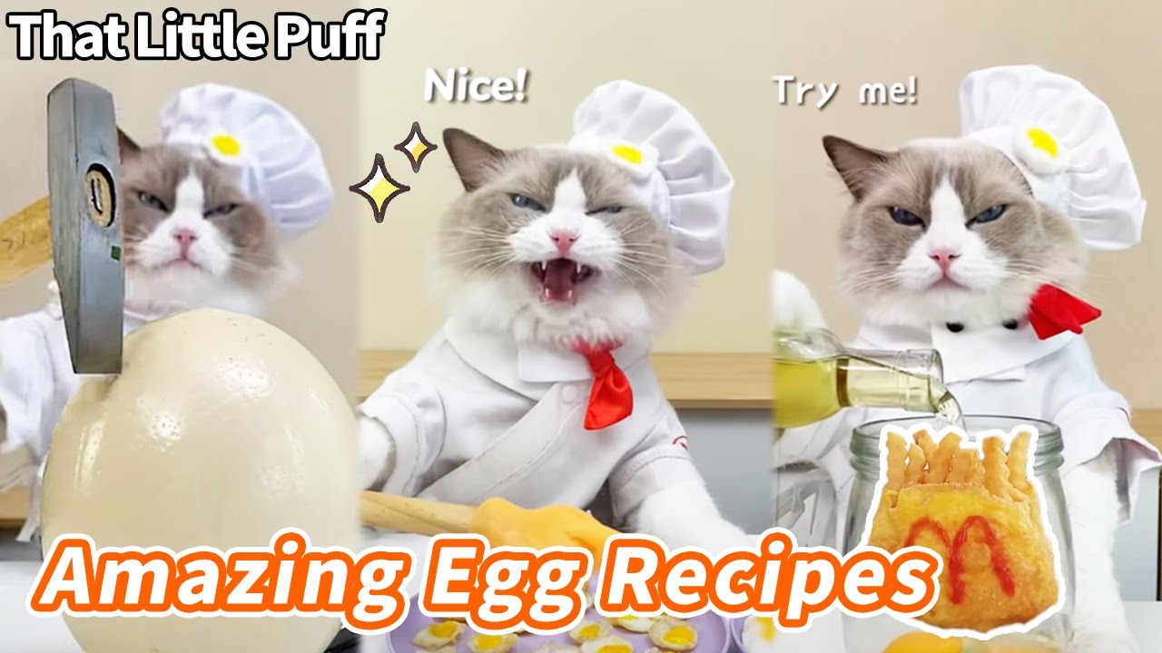 🍳😋Amazing Egg Recipes | That Little Puff