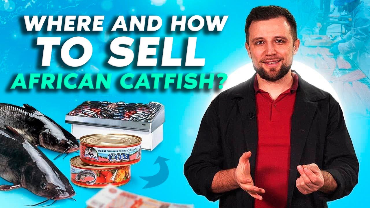 SALES of FISH farmed in RAS - Where and How to sell AFRICAN CATFISH? Fish farming BUSINESS