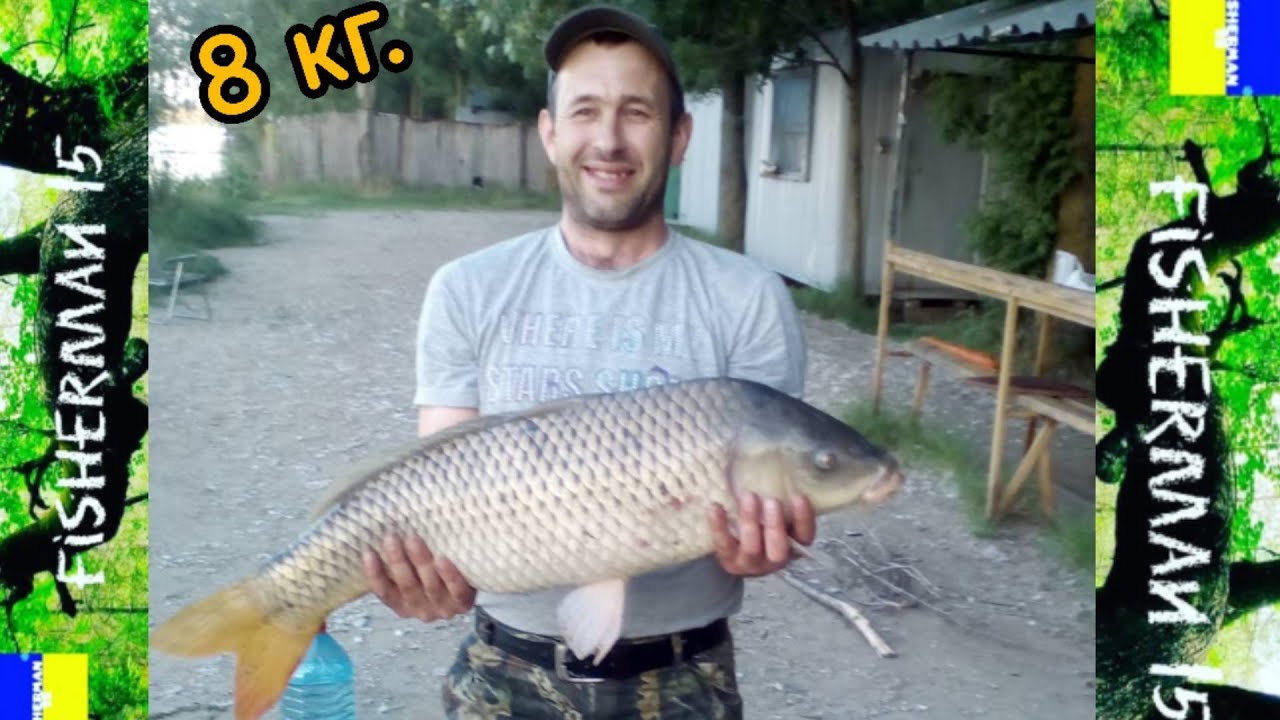 Рыбалка（карп 8кг.） на реке Днестр Маяки