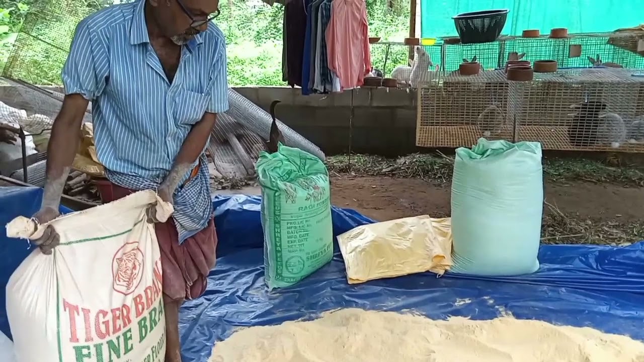 Rabbit farm in Karnataka. how to prepare neutrious food for rabbit's 🐇