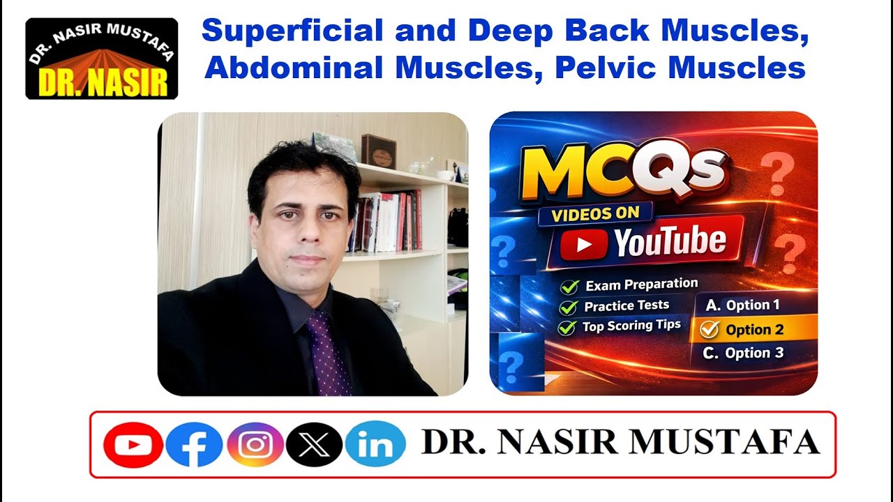 💪 Mcqs on Superficial and Deep Back Muscles, Abdominal Muscles, Pelvic Muscles 📚