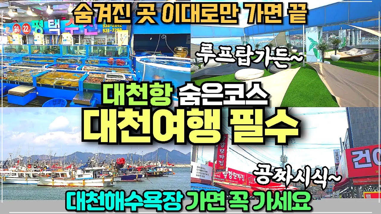 보령 대천항 숨은 코스 리뷰 / 대천해수욕장 갔다가 꼭 가야하는 곳 / 루프탑 가든에 무료시식 가득한 건어물 시장까지
