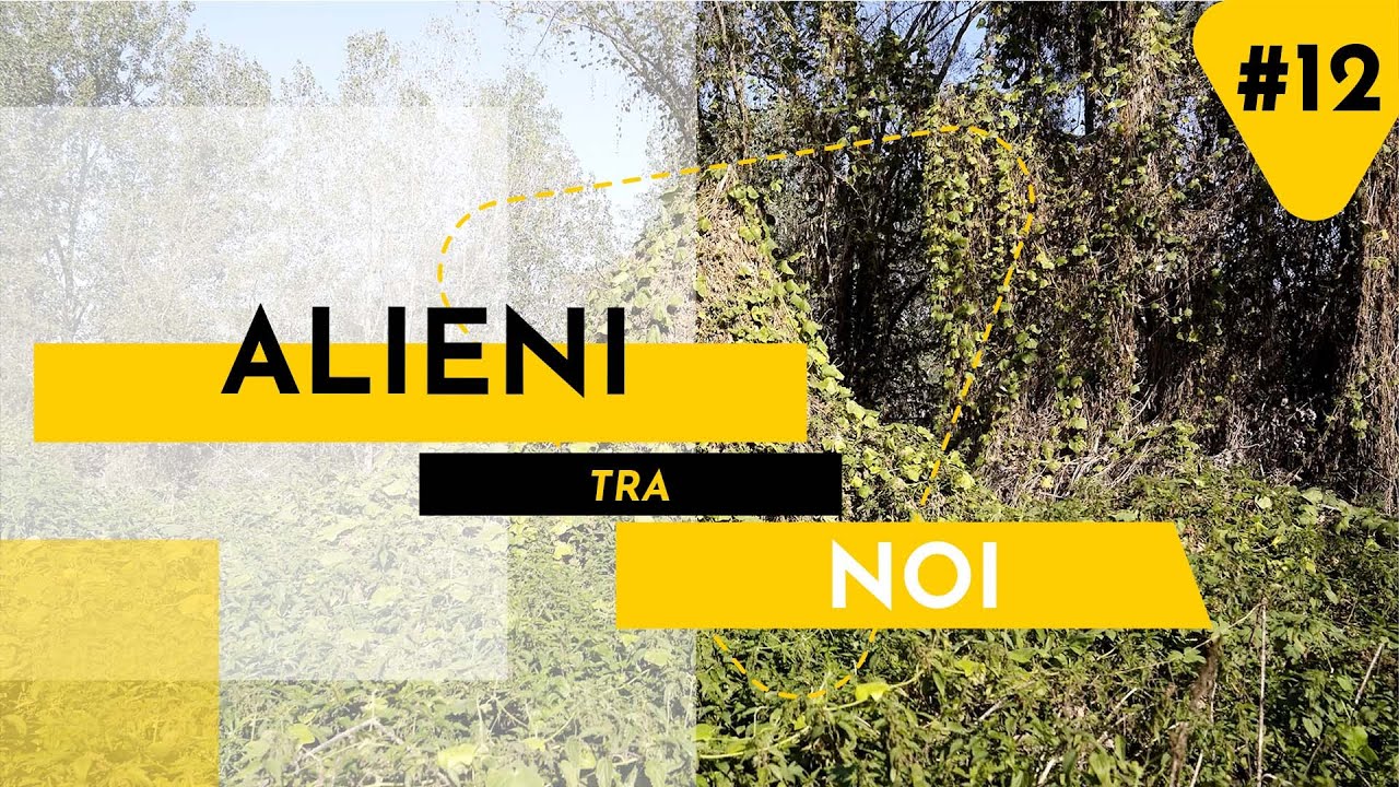 ALIENI TRA NOI | DOCUMENTARIO SULLA NATURA