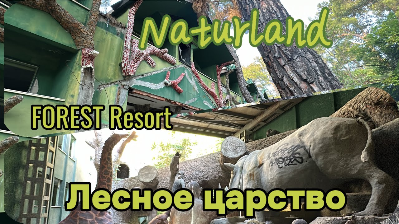 Naturland. Территория Forest Resort. Чамьюва.