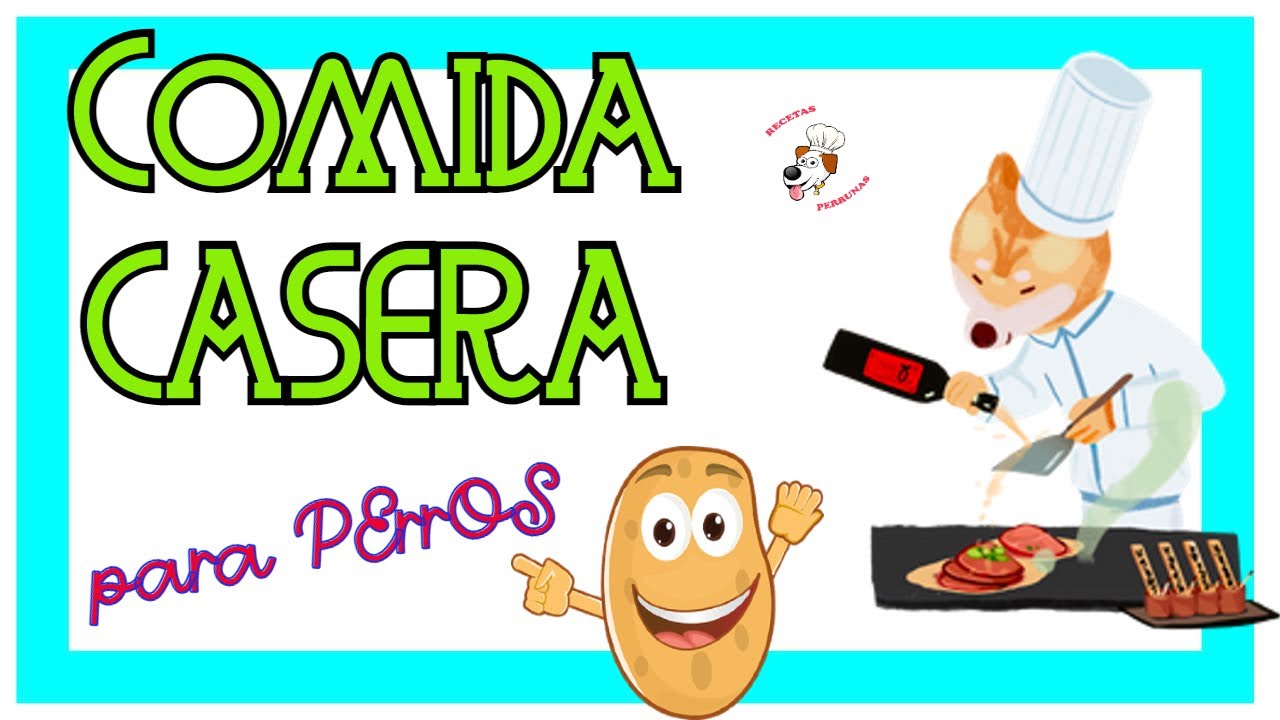 COMIDA CASERA para PERROS con PATATAS