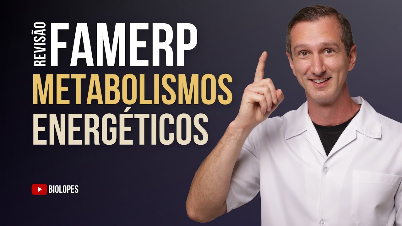 FAMERP 2025   O esquema ilustra um tipo de metabolismo energético realizado por alguns organismos na