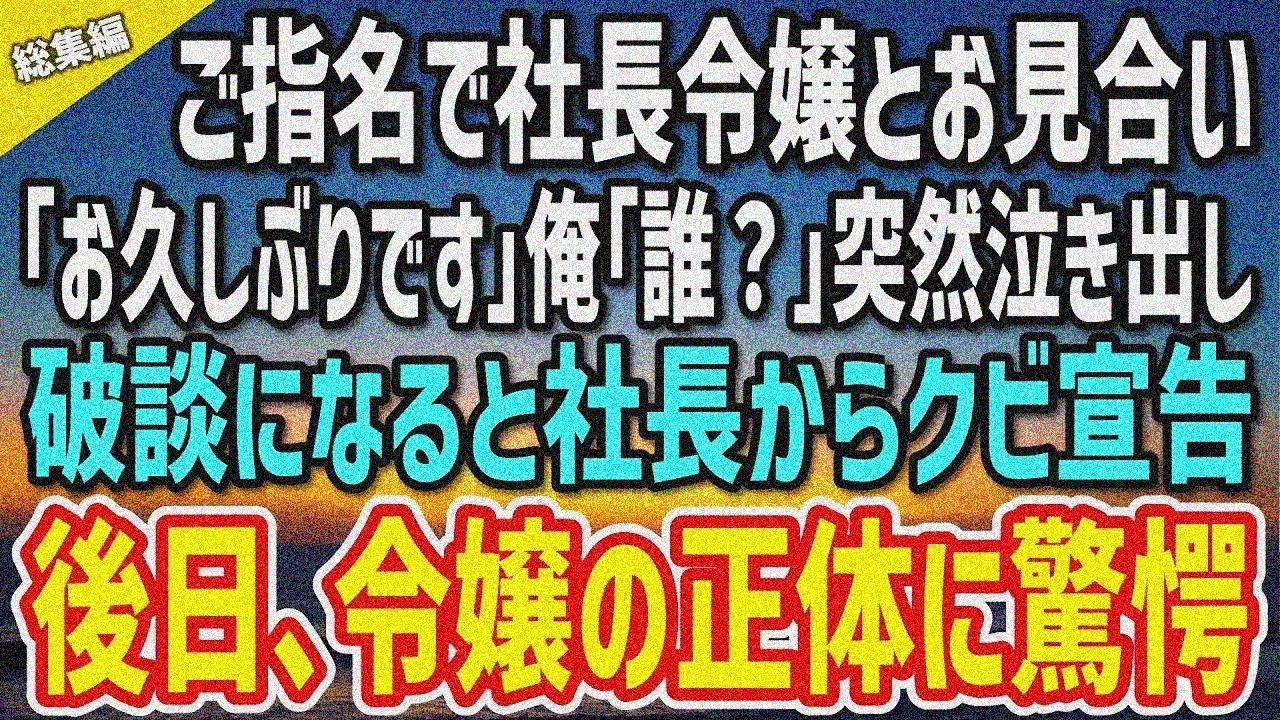 【感動する話】取引先に指名され社長令嬢とお見合いをすることに。「お久しぶりです」俺「え？ 誰？」すると突然泣き出し破談に→激怒した社長からクビ宣告…数日後、思わぬ形で令嬢の正体が…【総集編】