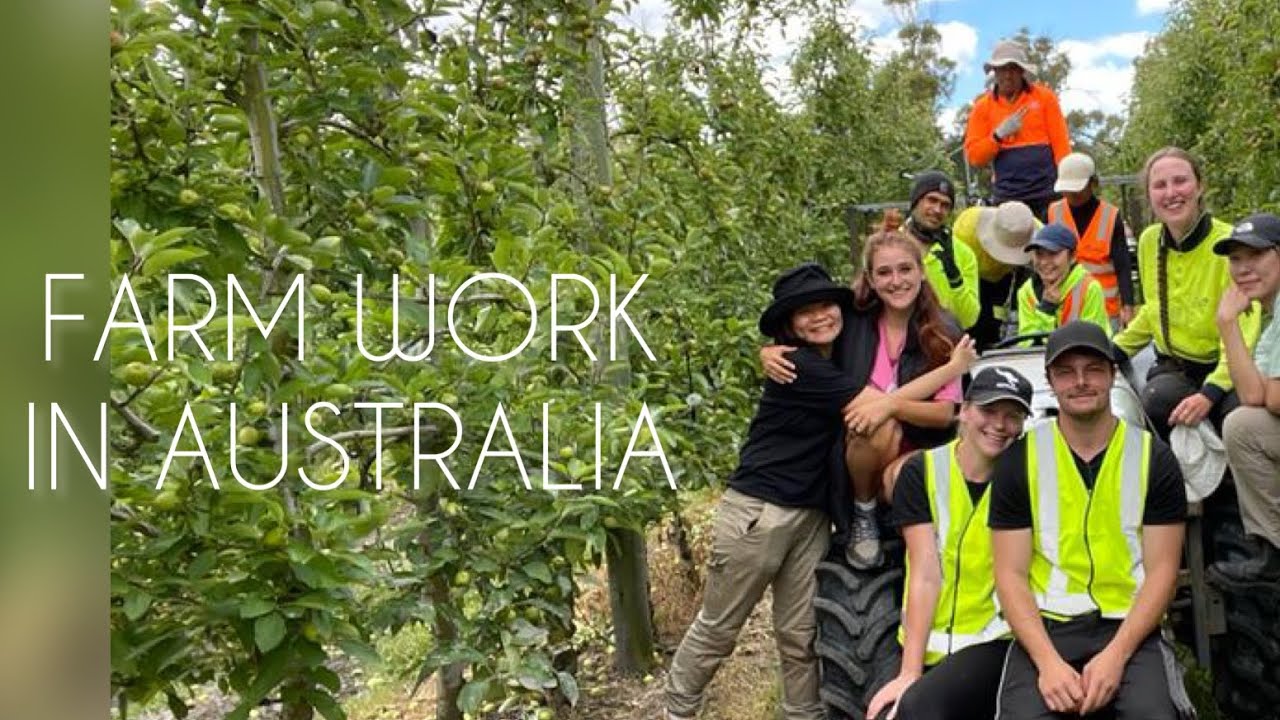 FARM WORK IN AUSTRALIA | WORKING HOLIDAY VISA | 88 DAYS FARM JOB