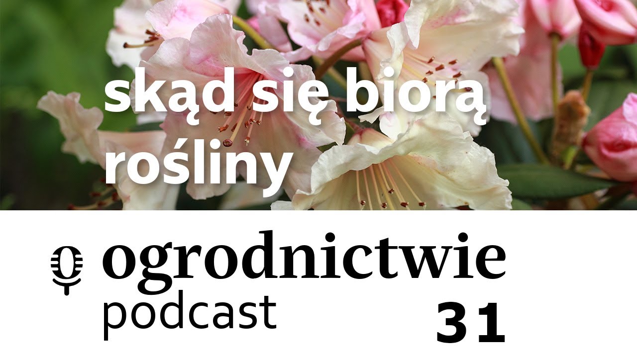 #031 skąd się biorą rośliny - o ogrodnictwie