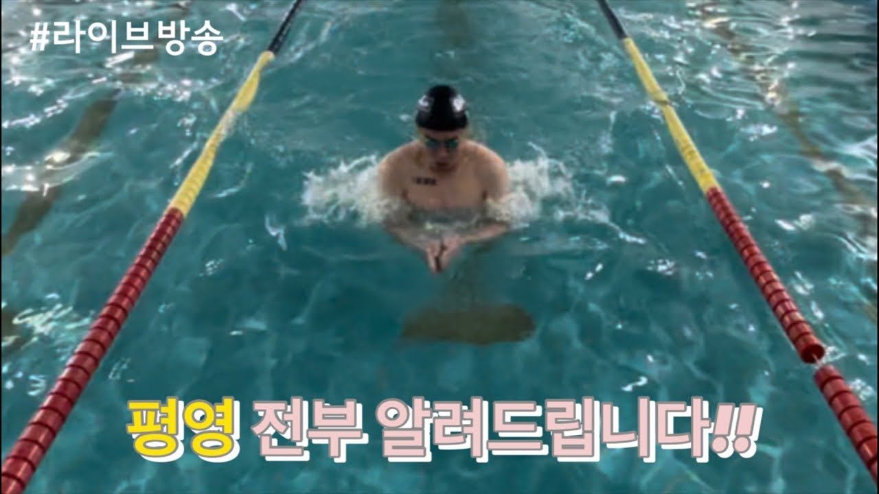 라이브방송)평영 모두 알려드릴게요!!