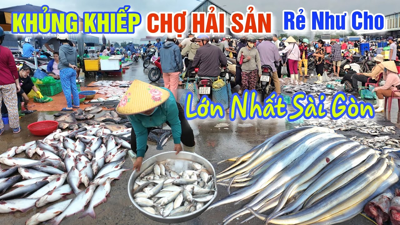 KHỦNG KHIẾP CHỢ CÁ, HẢI SẢN LỚN NHẤT SÀI GÒN GIÁ RẺ NHƯ CHO CHƯA TỪNG THẤY - CHỢ BÌNH ĐIỀN