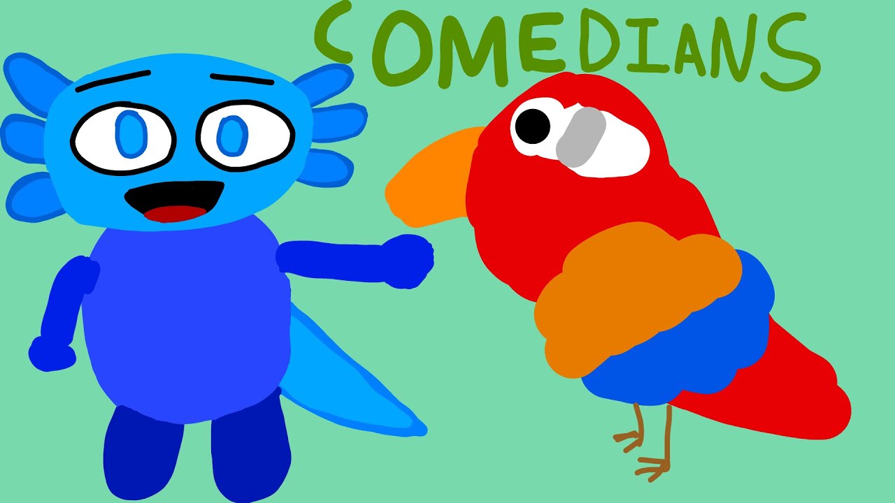 My Thoughts On Pet Birds!