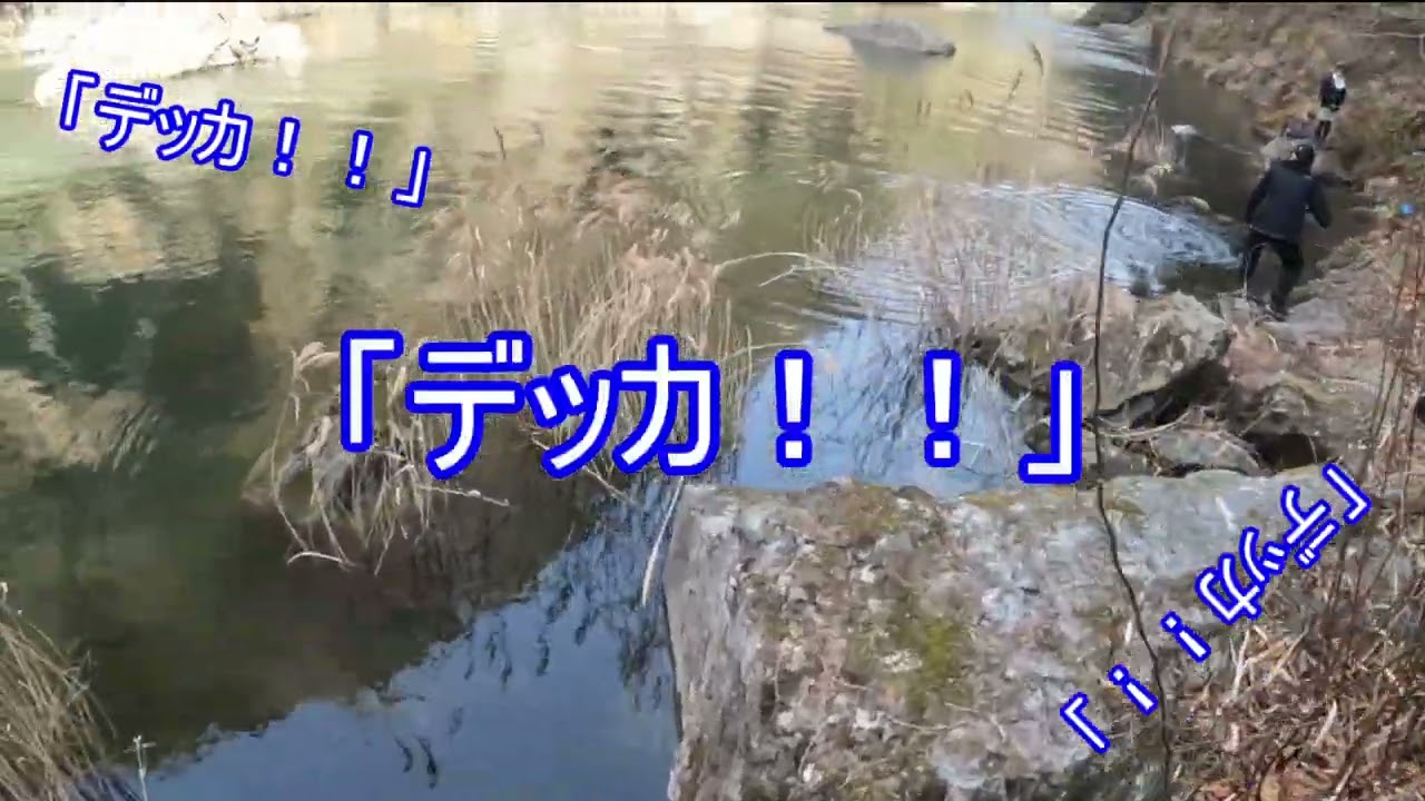 三月の白丸ダムでデカいの釣れた！