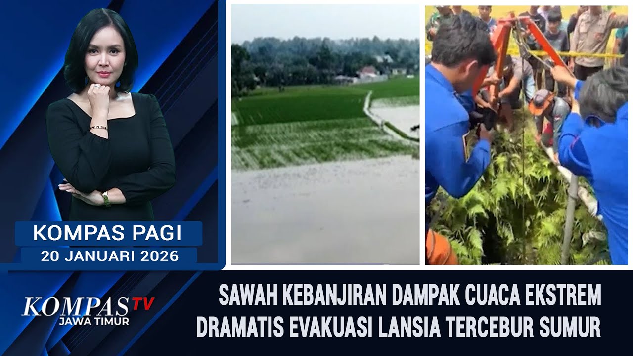 Banjir Cuaca Ekstrem Rendam Sawah di Jember, Lansia Tercebur Sumur Dievakuasi | Kompas Pagi