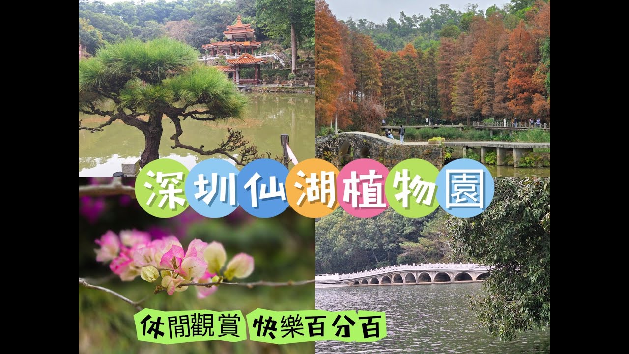深圳仙湖植物園休閒觀賞快樂百分百