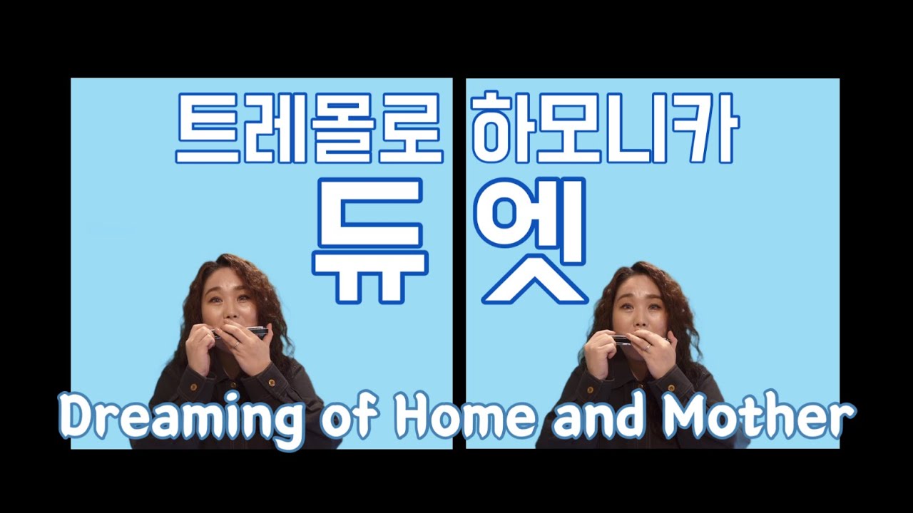 [A Key] 여수 (Dreaming of Home and Mother) 1인 2역 트레몰로하모니카 듀엣