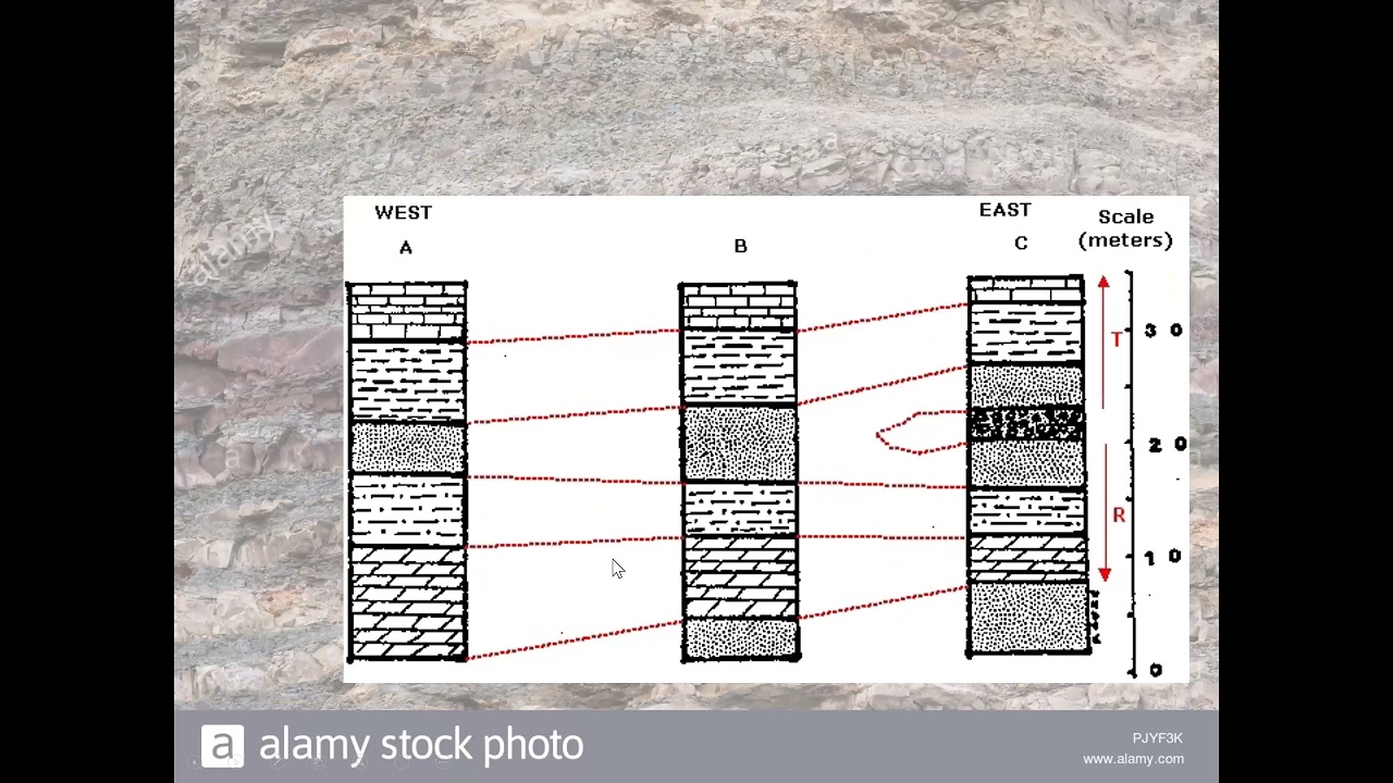 طبقات المحاضرة الثالثة المضاهاة شعبة XA - AC