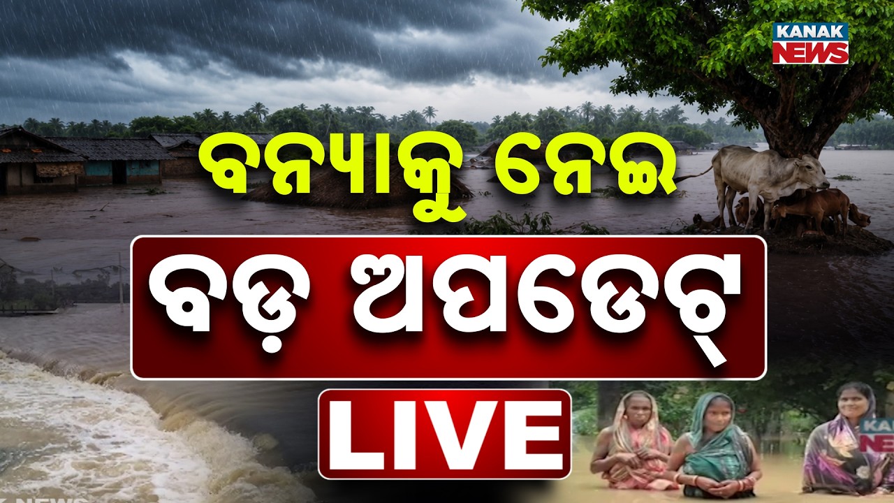 🔴 ବନ୍ୟାକୁ ନେଇ ବଡ଼ ଅପଡେଟ୍ | Odisha Flood Update | Weather News | Odisha Rain | Kanak News LIVE