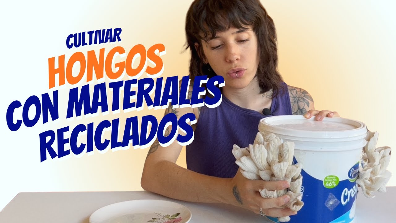 Cultiva gírgolas con materiales reciclados (paso a paso) 🍄