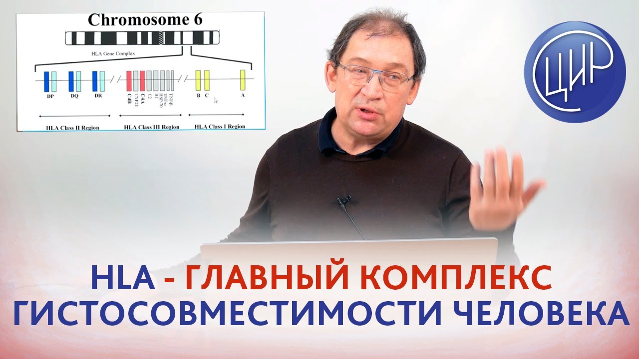 HLA - главный комплекс гистосовместимости человека. Рассказывает к.м.н., акушер-гинеколог Гузов И.И