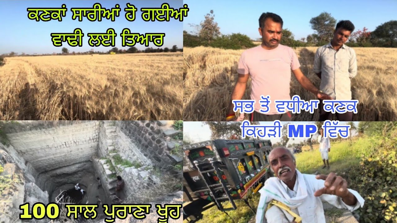 ਅੱਜ ਦੇਖਿਆ 100 ਸਾਲ ਪੁਰਾਣਾ ਖੂਹ // ਕਣਕਾਂ ਹੁਣ ਸਾਰੀਆਂ ਹੀ ਪੱਕ ਗਈਆਂ //@bittugobindgarh2295 