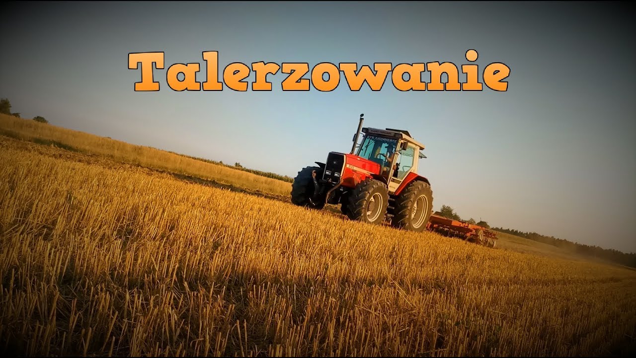 ! Talerzowanie 2k18 ! Massey Fergusson 3125