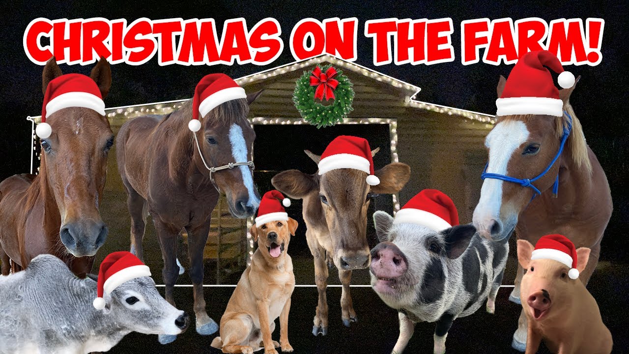 DECORATING THE WHOLE FARM FOR CHRISTMAS!
