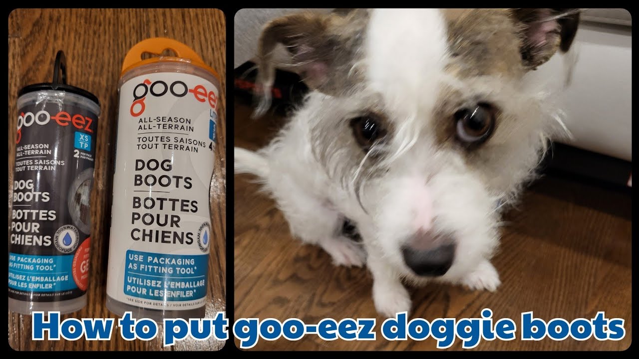 How to put on Goo-Eez dog boots the easy way