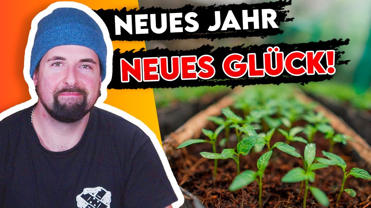 Die ersten Chili Keimlinge des Jahres sind da! 🌶️