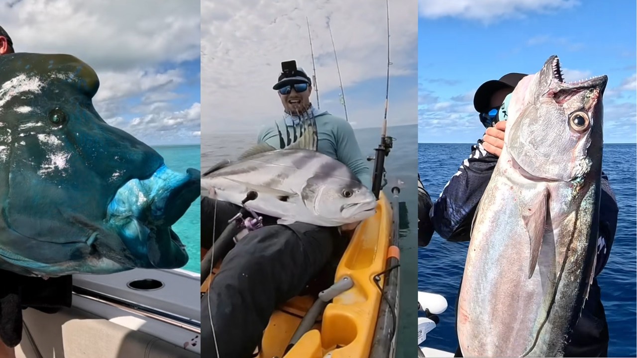 MONSTER FISH! Compilation of Insane Catches | TikTok Compilation