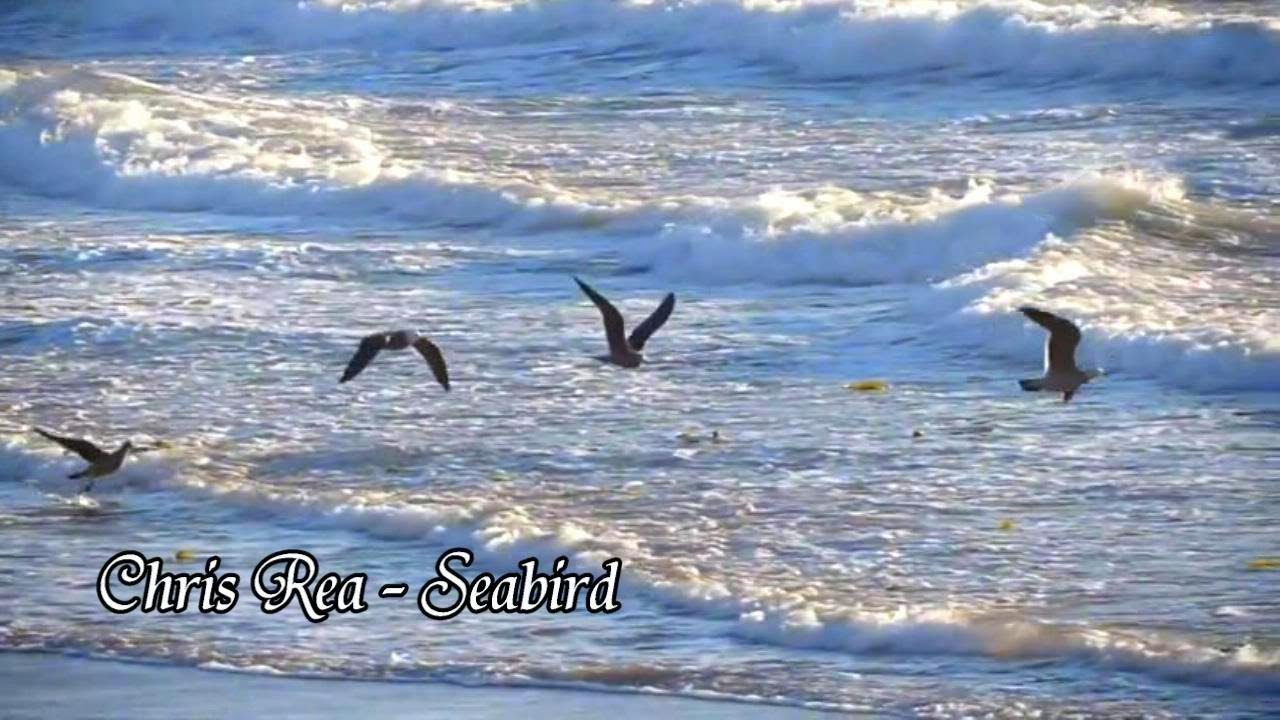 Chris Rea - Seabird
