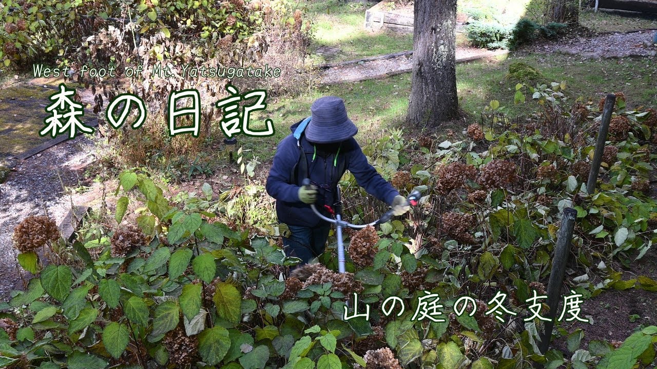 別荘の庭の冬支度/アナベルをなぎ倒す/晩秋の御射鹿池/デッキの防腐剤塗装／ヒカゲノカズラのリース