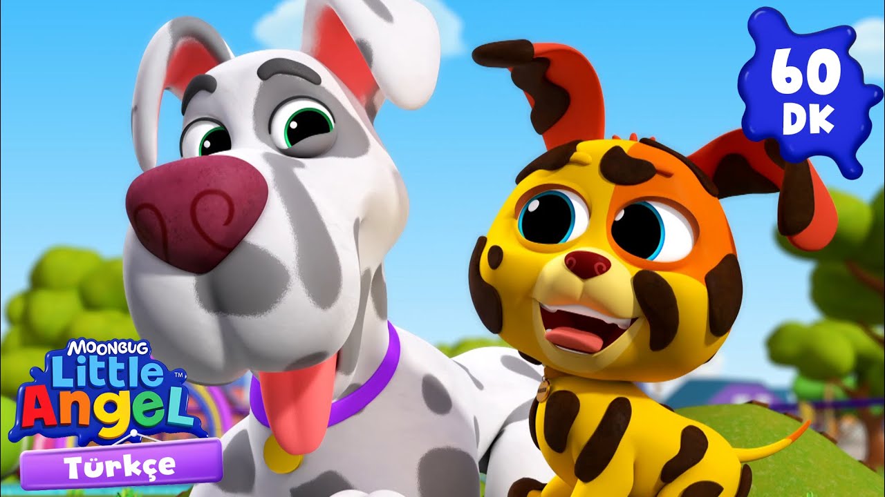 Köpeğimiz Bingo 🐶 | LITTLE ANGEL | Çocuk Çizgi Filmleri | Moonbug Kids Türkçe