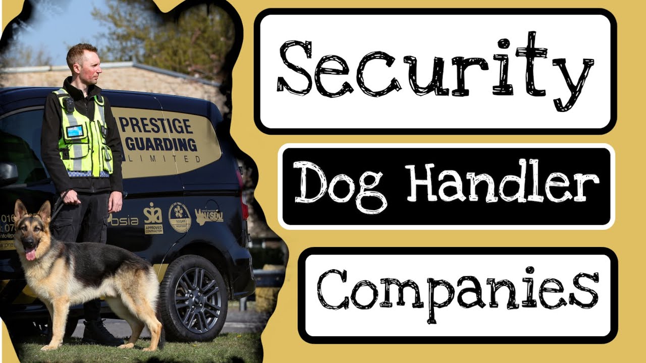 SECURITY DOG HANDLER - Companies