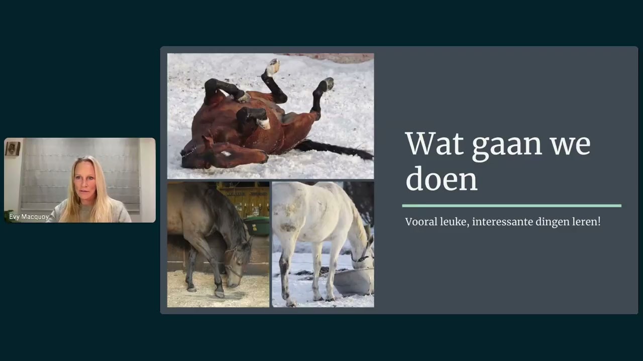 Webinar koliek