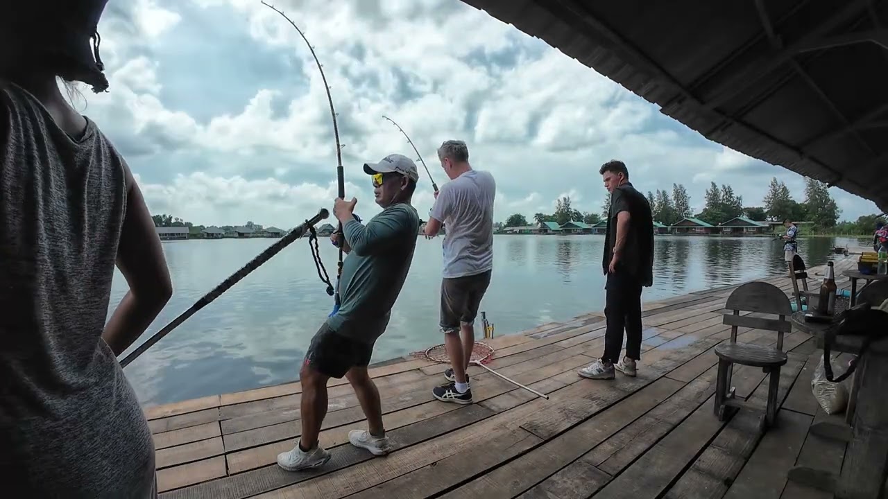 Fish suite