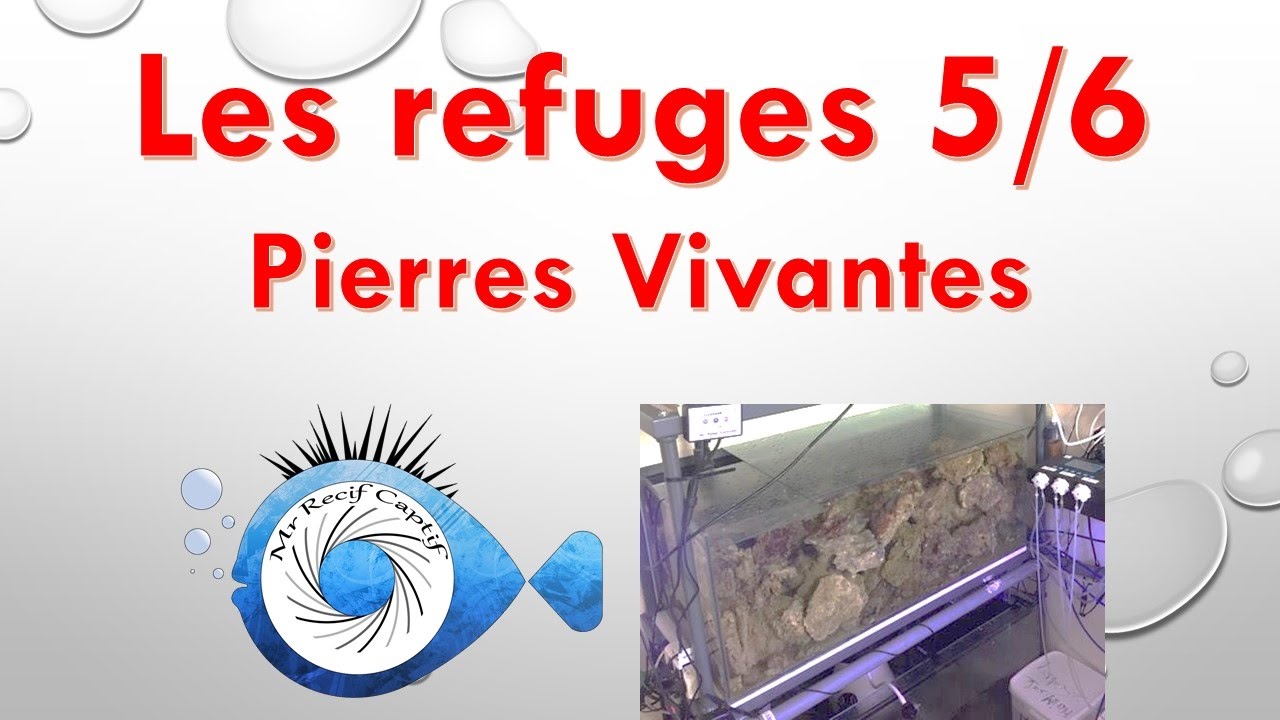 Les Refuges 5/6 , Les refuges a pierres vivantes - Mr Recif Captif #106