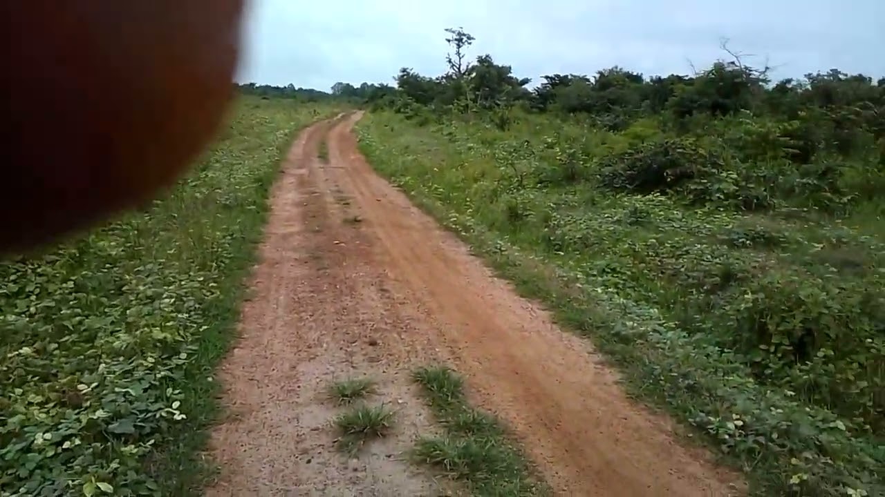 terrain pour projets agro-pastorale à vendre au Togo 🇹🇬