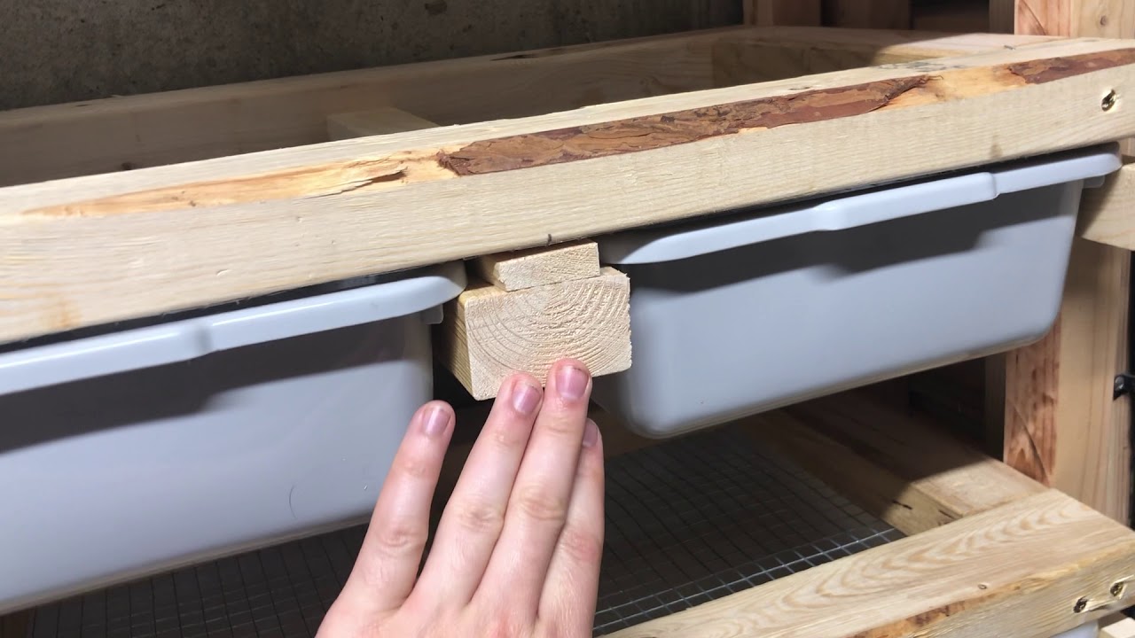 How to Build a Mouse Breeding Rack