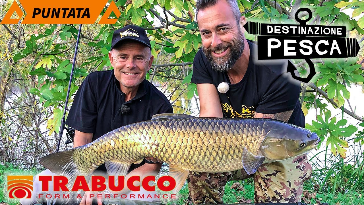 La regina delle Ninfee - Carpfishing | Destinazione Pesca S2E5 | @trabuccofishing