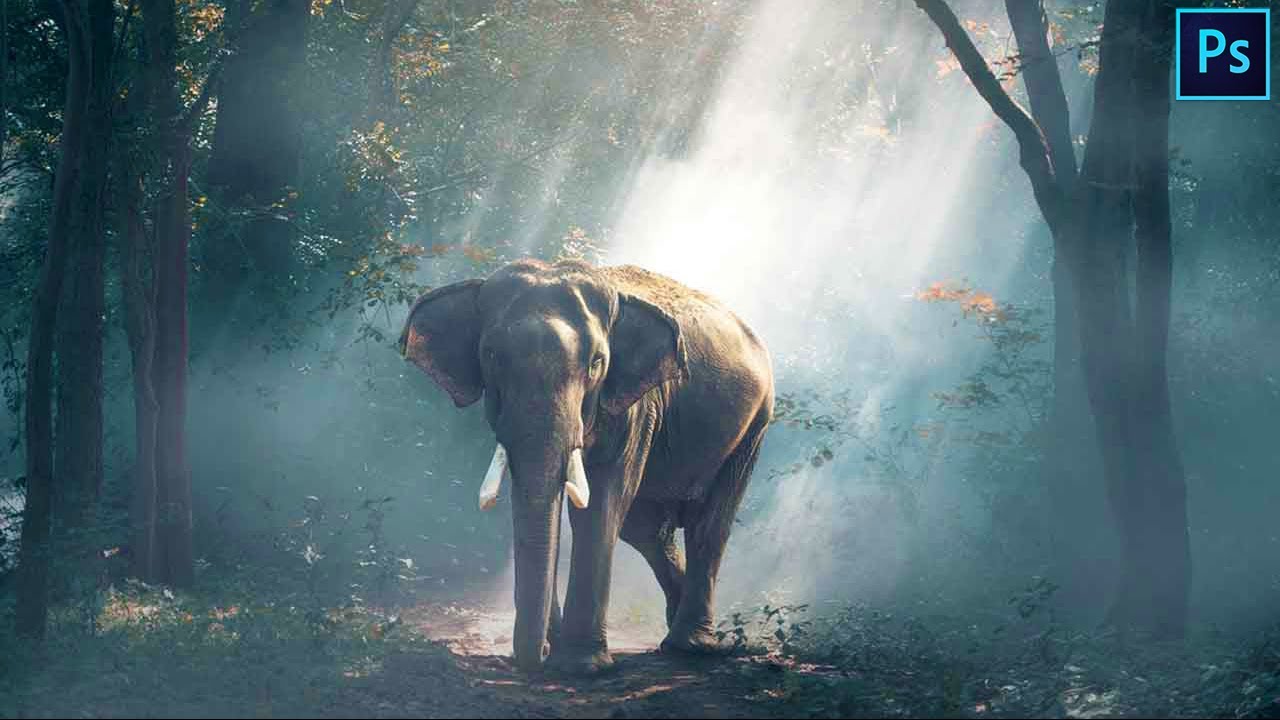 Learn How to Add Fog Mist To Your Photographs | Photoshop Tutorial