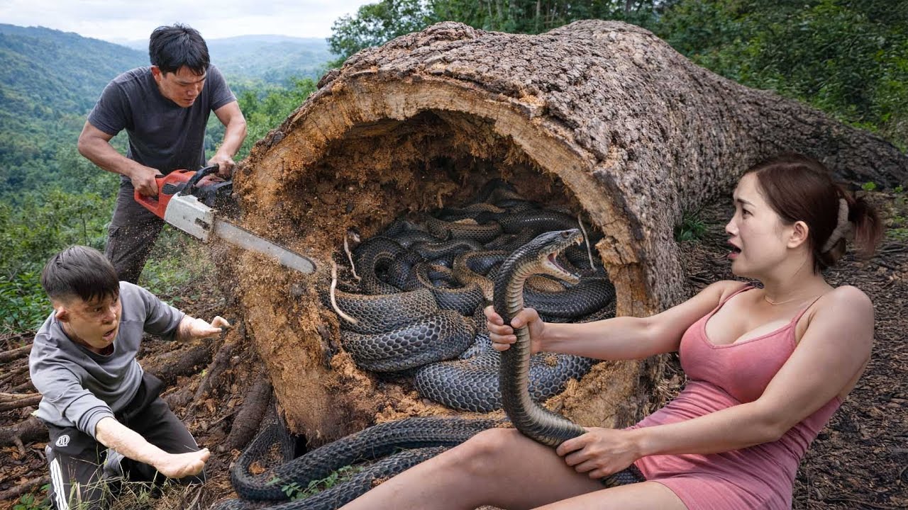 CEO Discovers a Giant Python Nest Behind His Abandoned House 😱 | Shocking Survival Moment