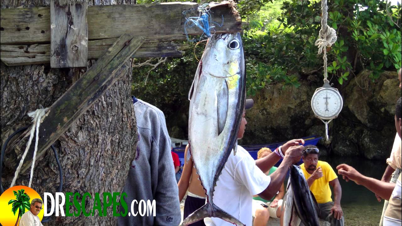 Cabrera Dominican Republic Fishing